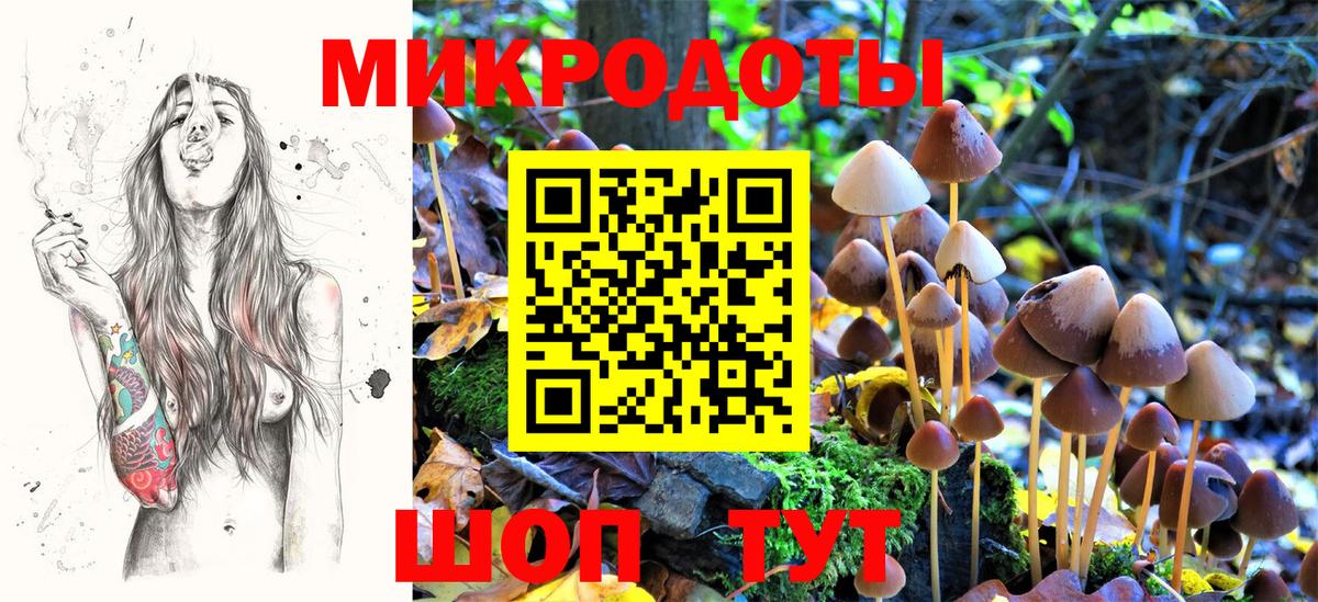 Псилоцибиновые грибы MAGIC MUSHROOMS Избербаш